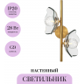Настенный светильник (бра) MAYTONI MIRACLE MOD207WL-02BS