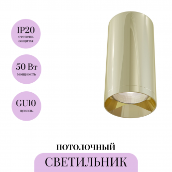 Потолочный светильник MAYTONI FOCUS C010CL-01G