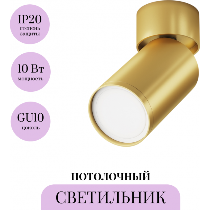 Потолочный светильник MAYTONI FOCUS S C050CL-U-1MG