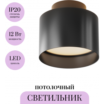 Потолочный светильник MAYTONI PLANET C009CW-L12B
