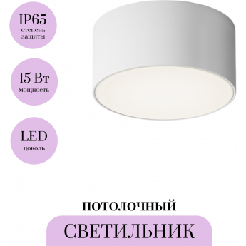 Потолочный светильник MAYTONI ZON IP O430CL-L15W4K