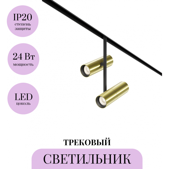 Трековый светильник MAYTONI ELTI DUO TR005-2-2X12W3K-BBS