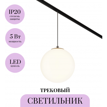Трековый светильник MAYTONI LUNA TR039-2-5W3K